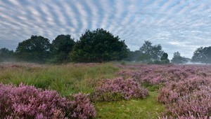 Het Buurserzand